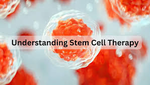 Discover Stem Cell Rejuvenation at Leading Clinics in Singapore