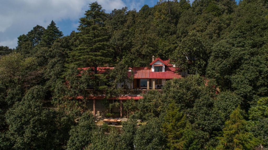 Escape to the Hills: Top Resorts in Binsar for a Peaceful Stay