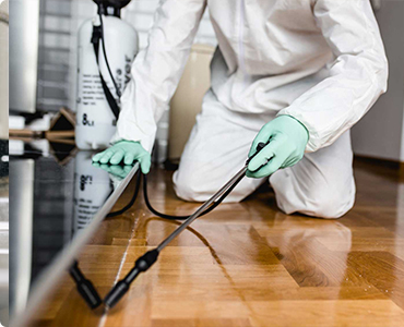 What Is The Important Part of Pest Control Services?