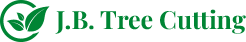 Tree Removal in Galway: When is it Necessary and How a Tree Surgeon Can Help