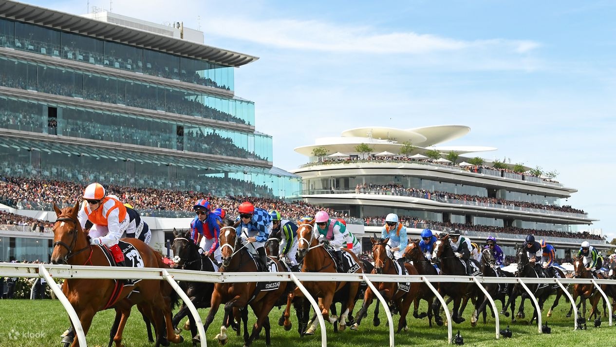 Smart Ways to Bet on Melbourne Cup Favorites vs. Underdogs