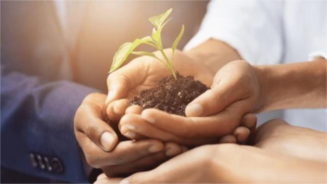 Harnessing Bioenvironmental Enzymes for Effective Decomposition of Organic Matter