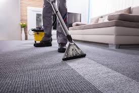 The Role of Carpet Cleaning in Reducing Pet Odors