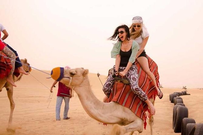 Ride into the Light: Early Morning Camel Safaris in Dubai