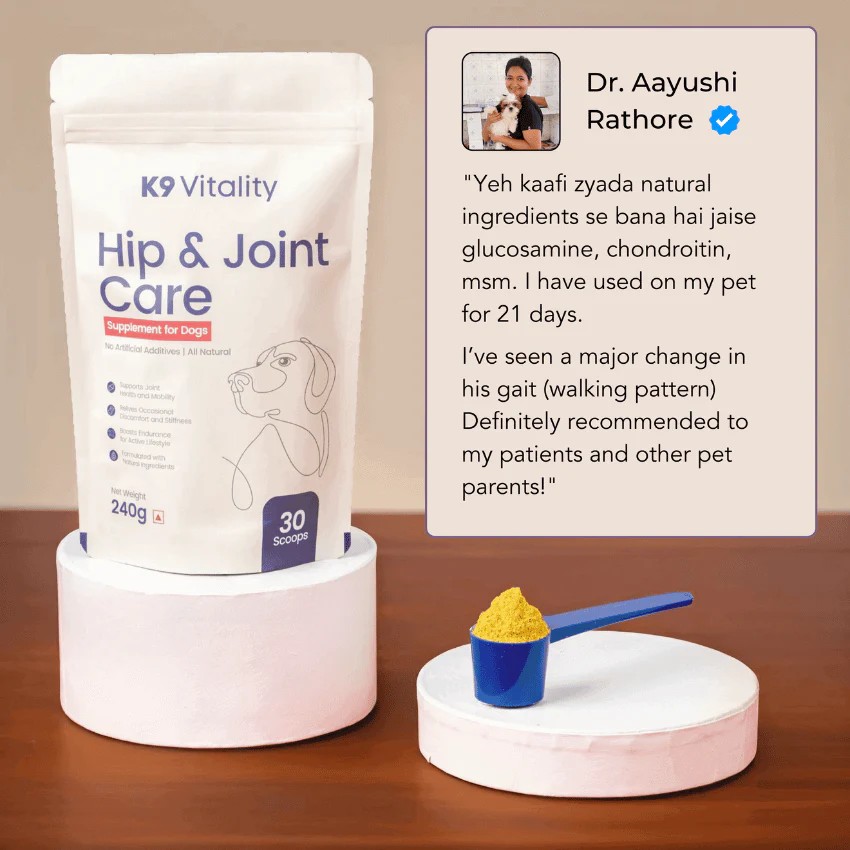 How to Choose the Best Bone and Joint Supplements for Dogs: Vet-Approved Tips