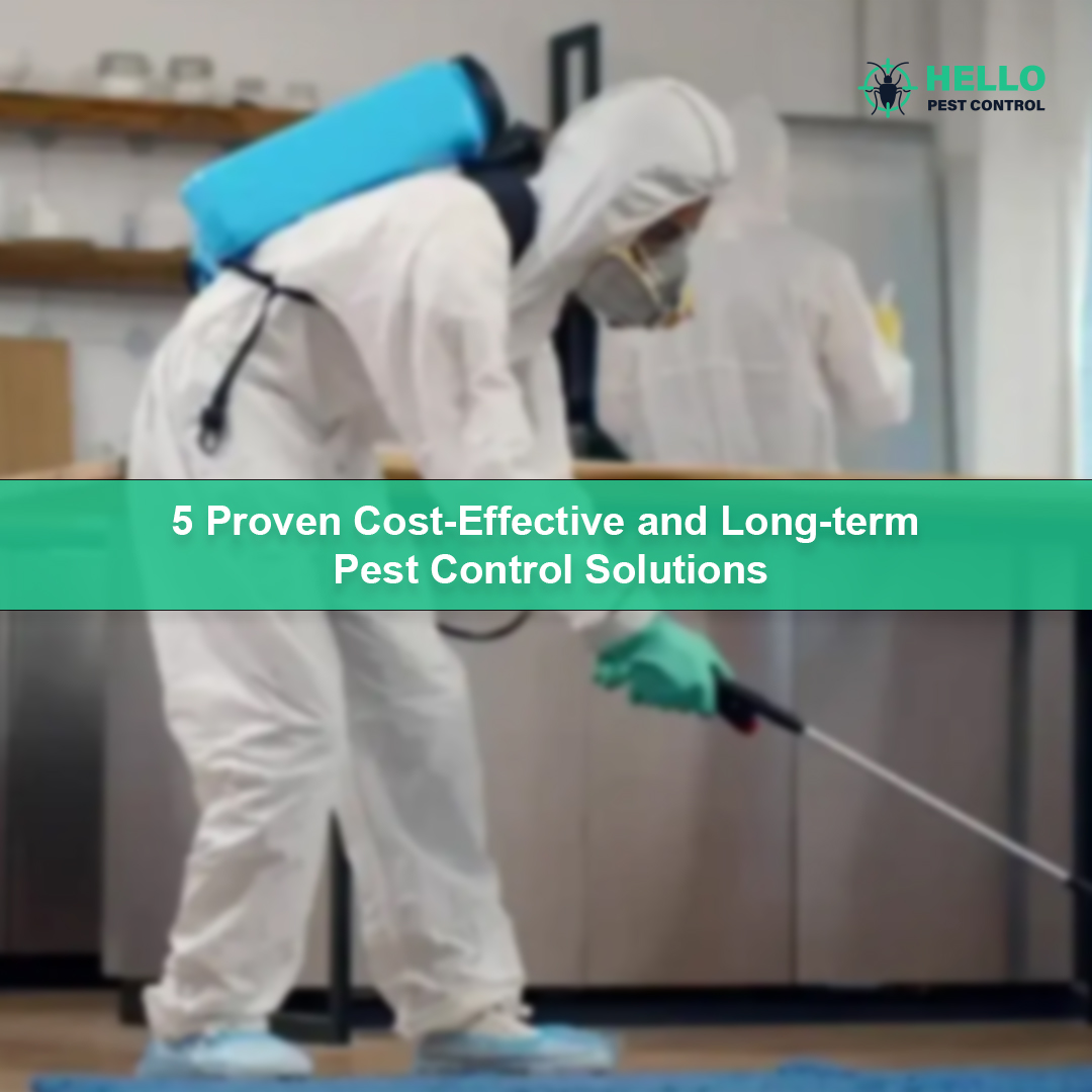 Why You Should Hire Professional Pest Control in Scarborough?