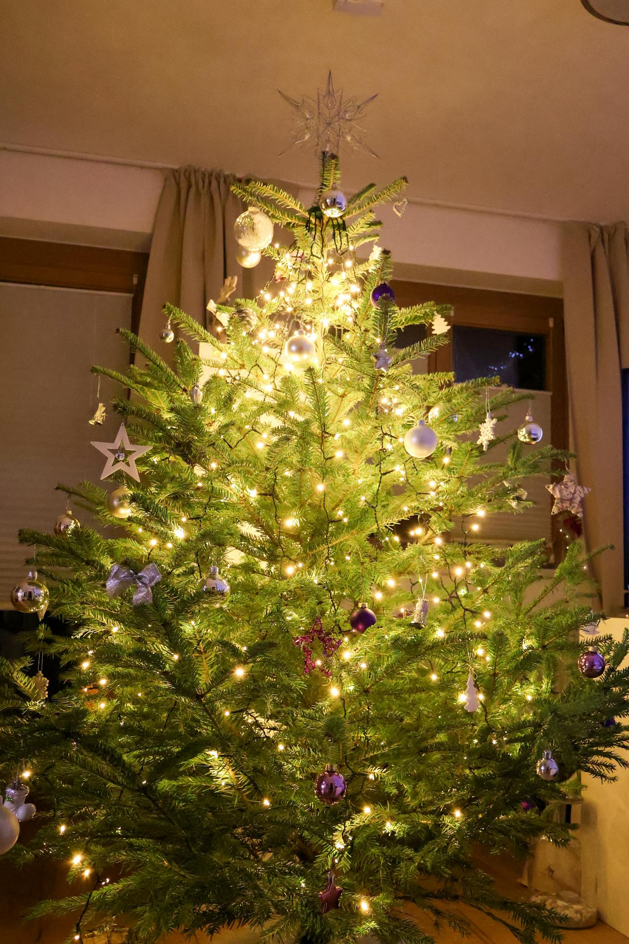 How to Light Up Your Yard with Outdoor Christmas Lights